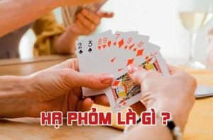 Hạ phỏm là gì? Cách chơi phỏm đơn giản và dễ hiểu